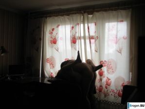 Домашние фото украинской девушки. Часть 4. Эскиз 28