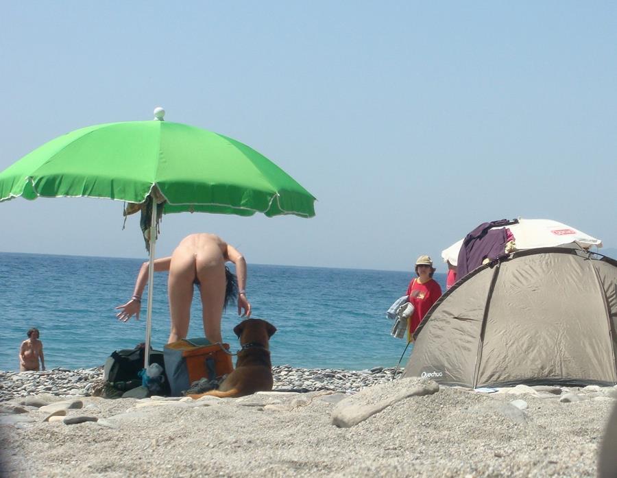 Compilation On the beach with doggy style. Photo 28