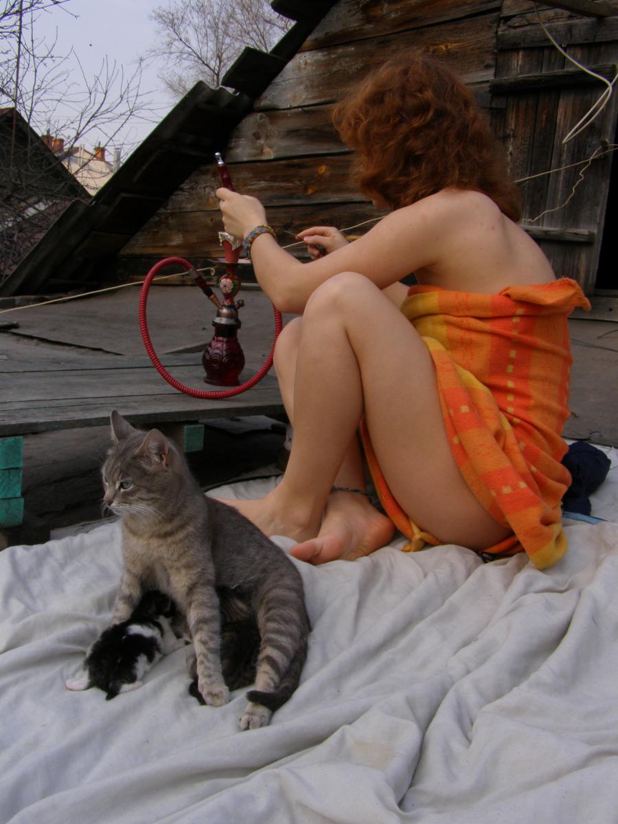 hookah. Photo 8