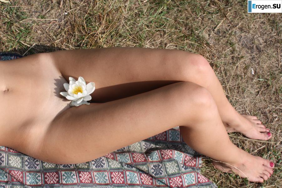 Flower. Photo 3