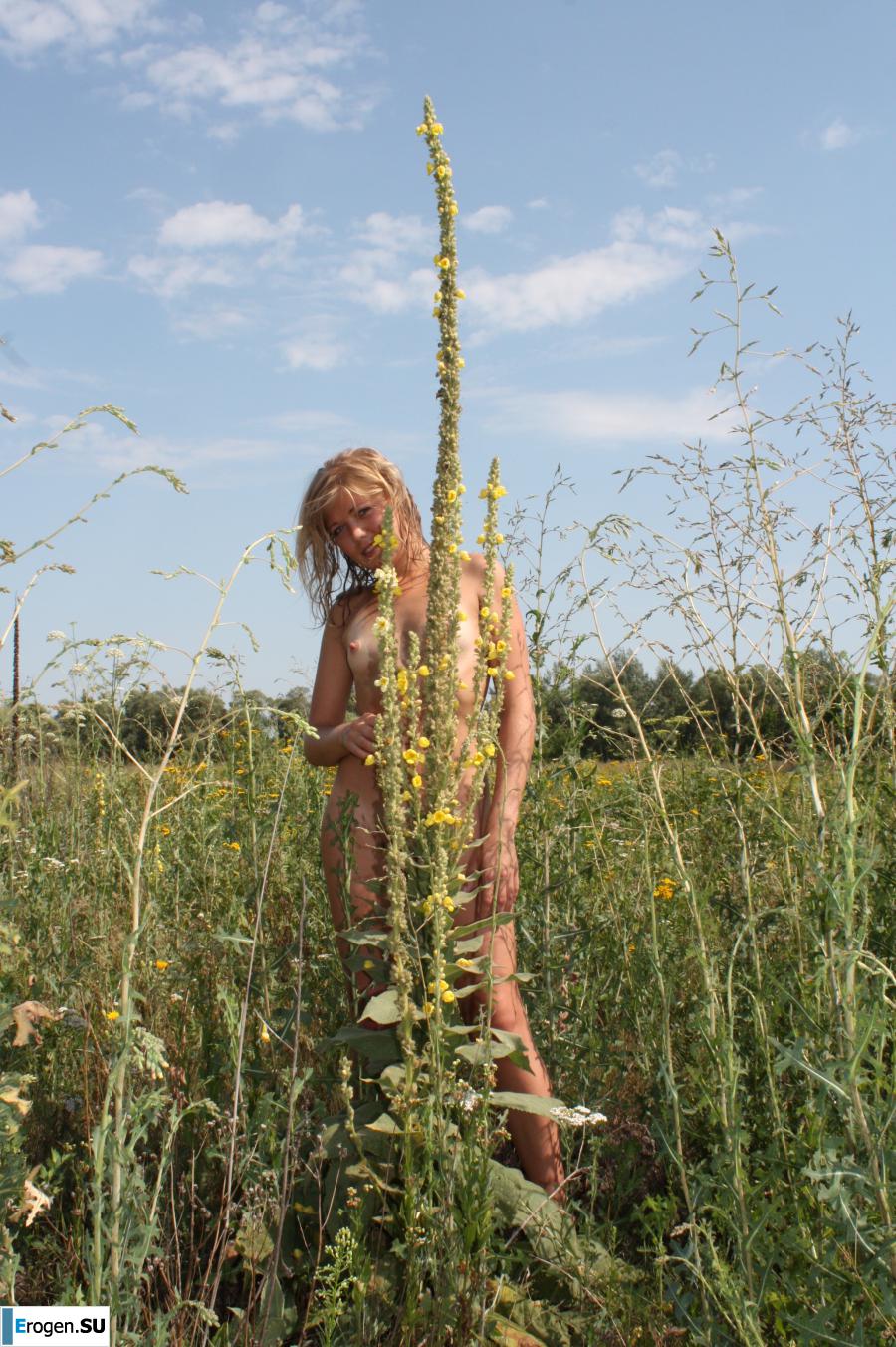 Flower. Photo 8