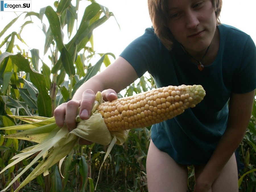 A thin student pleases herself with corn right in the field. Photo 21
