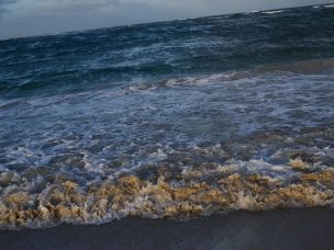 Proserpina in Cabo Verde Sunset. Эскиз 49