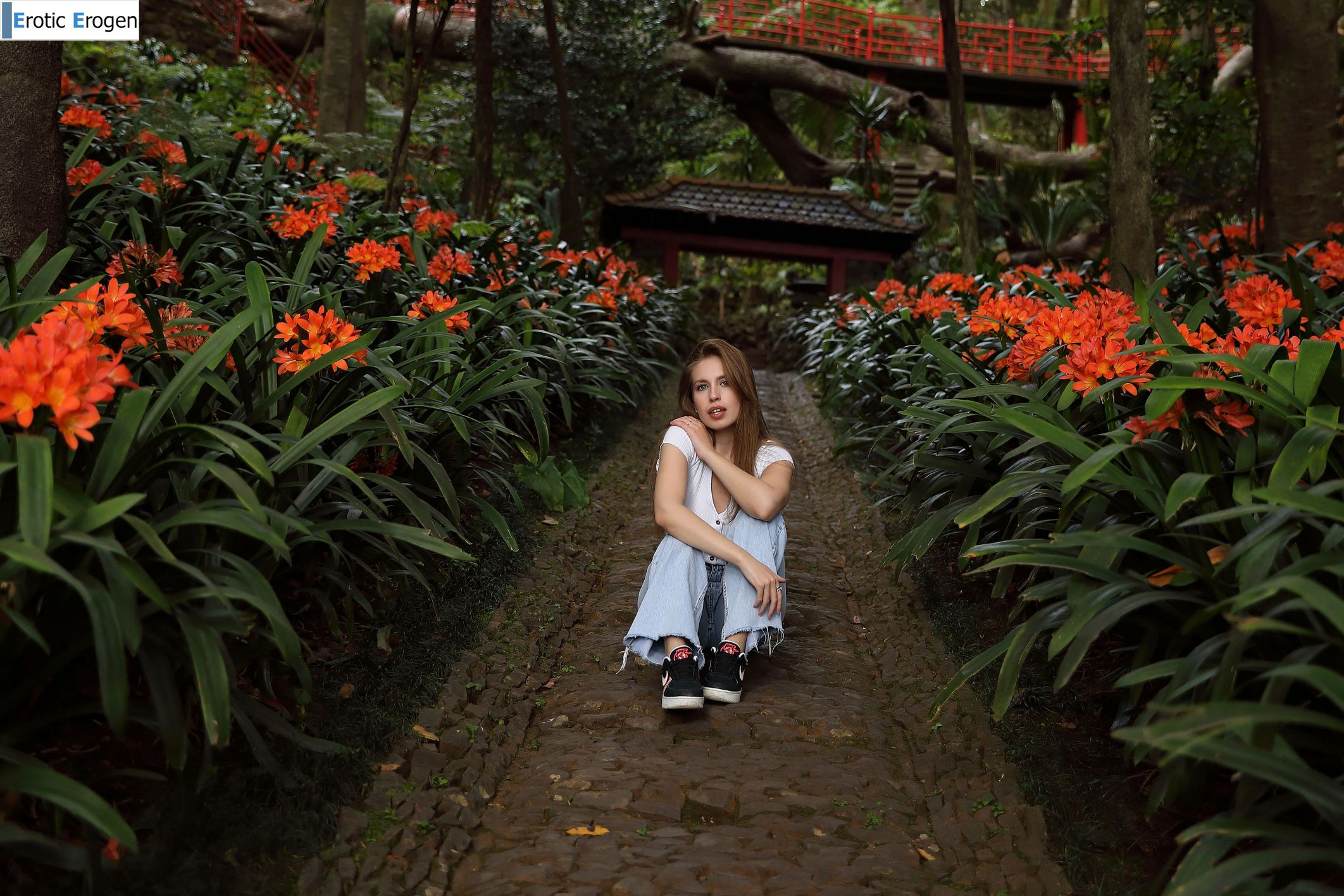 Aristeia in Postcard From Funchal. Picture 26
