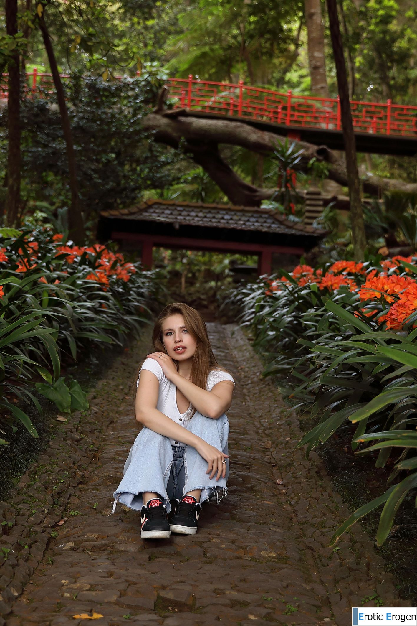 Aristeia in Postcard From Funchal. Picture 27