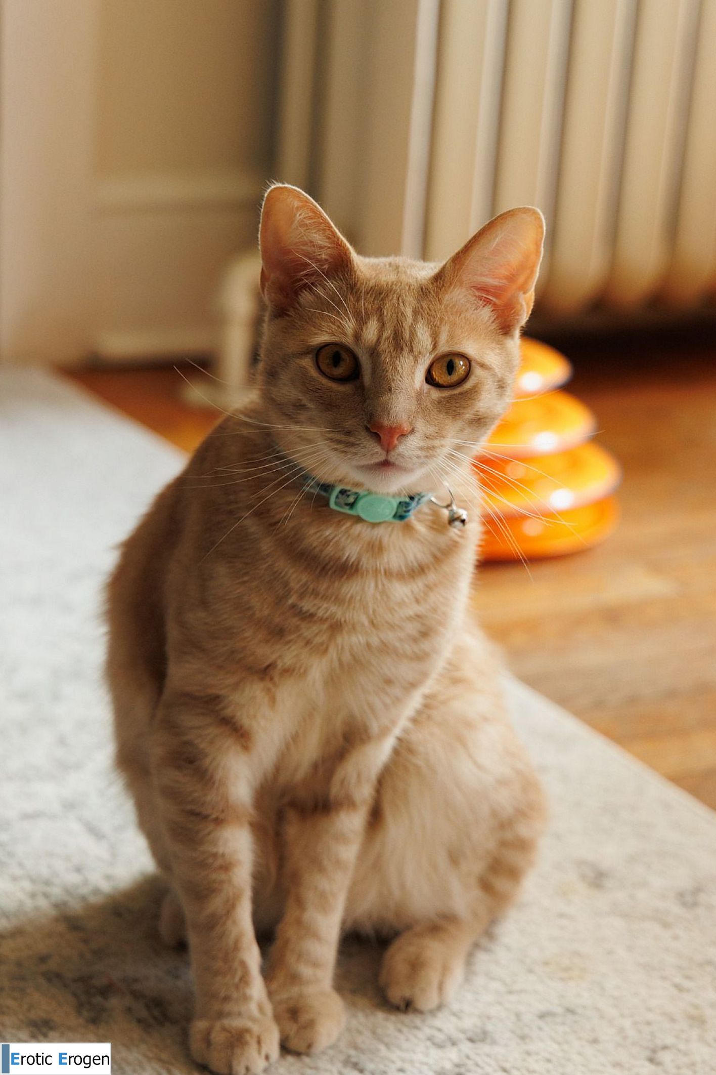 Jezebel Madd in Only In America 2. Фото 38