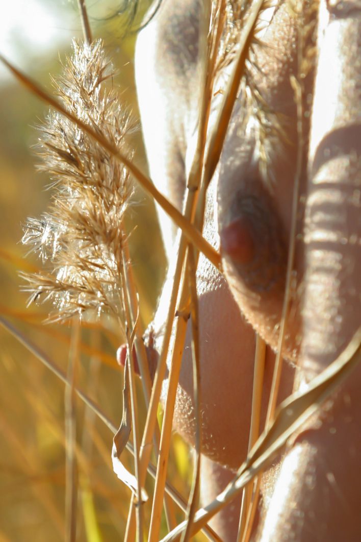 Uriana Z in Dry Branches. Thumb 36