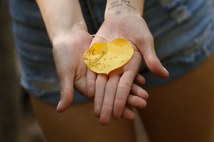  Penelope Kay in Nature Dorks 1. Эскиз 20