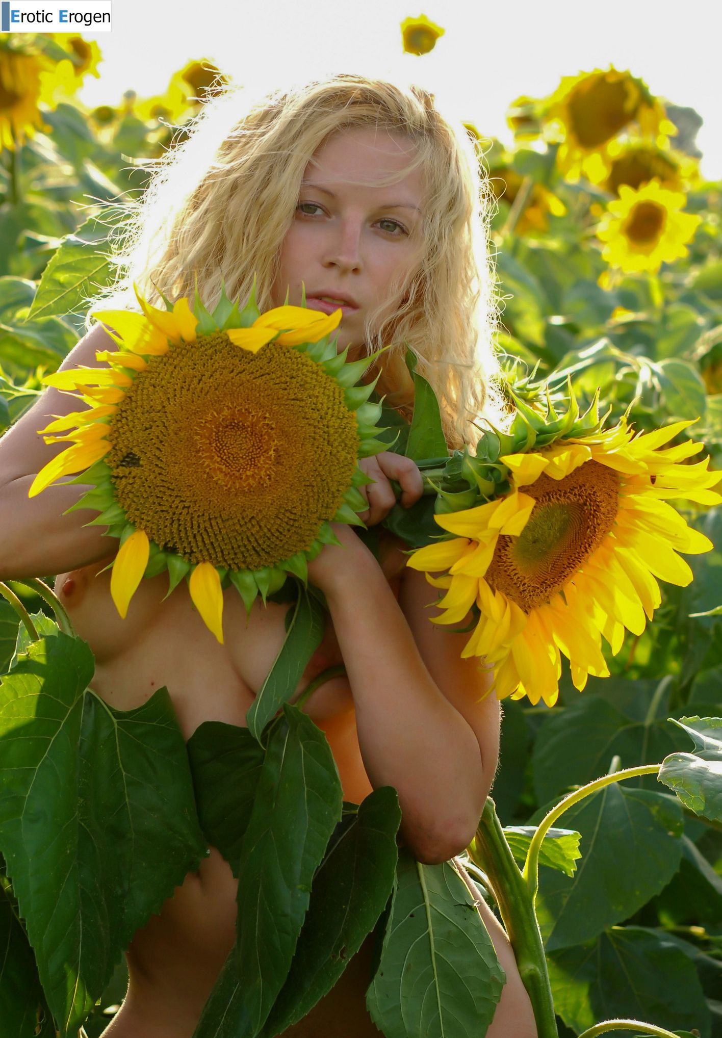 Hypatia K in Big Sunflowers. Фото 46