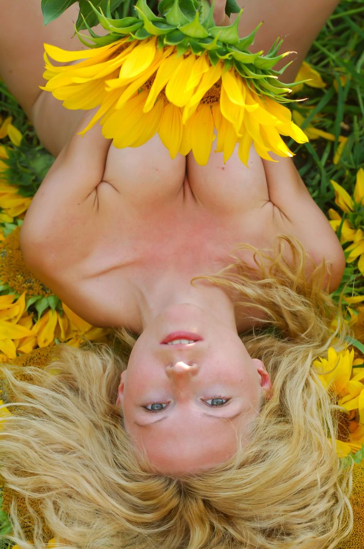 Hypatia K in Big Sunflowers. Эскиз 23