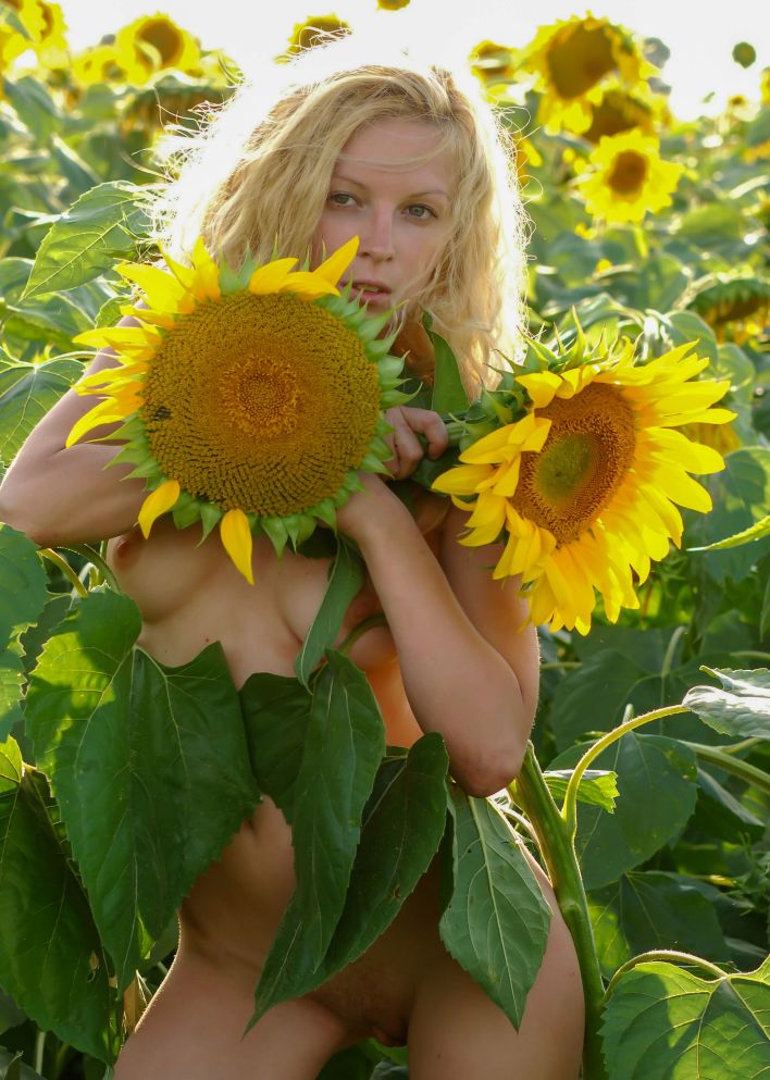 Hypatia K in Big Sunflowers. Эскиз 45