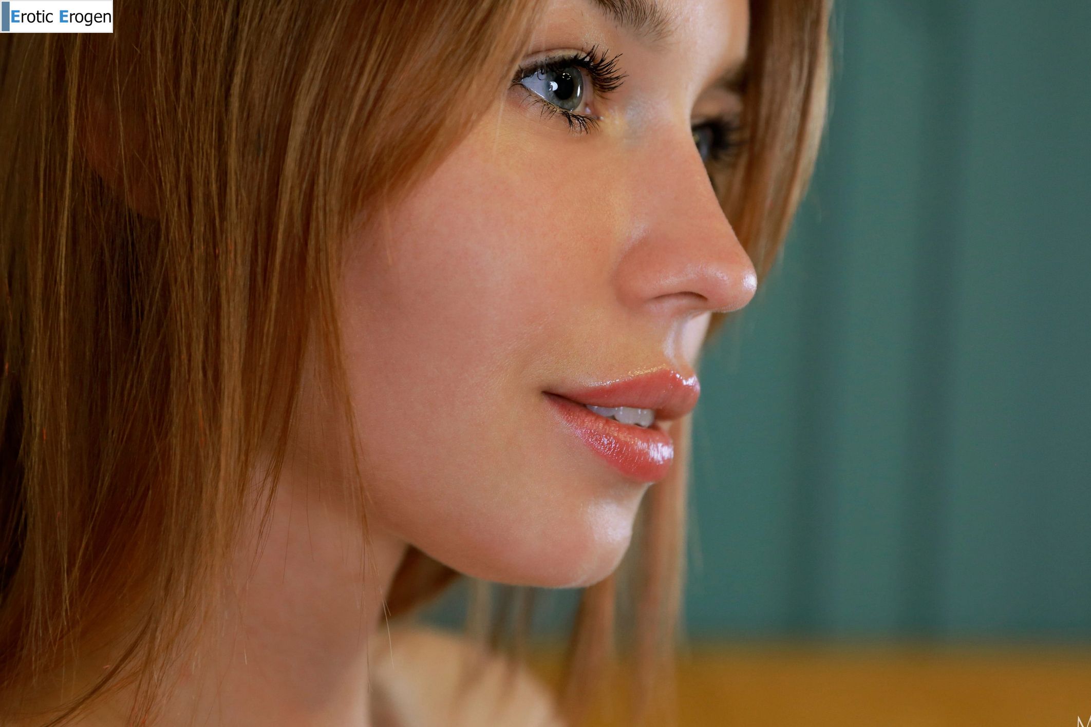 Elektra in Presenting Elektra. Slide 5