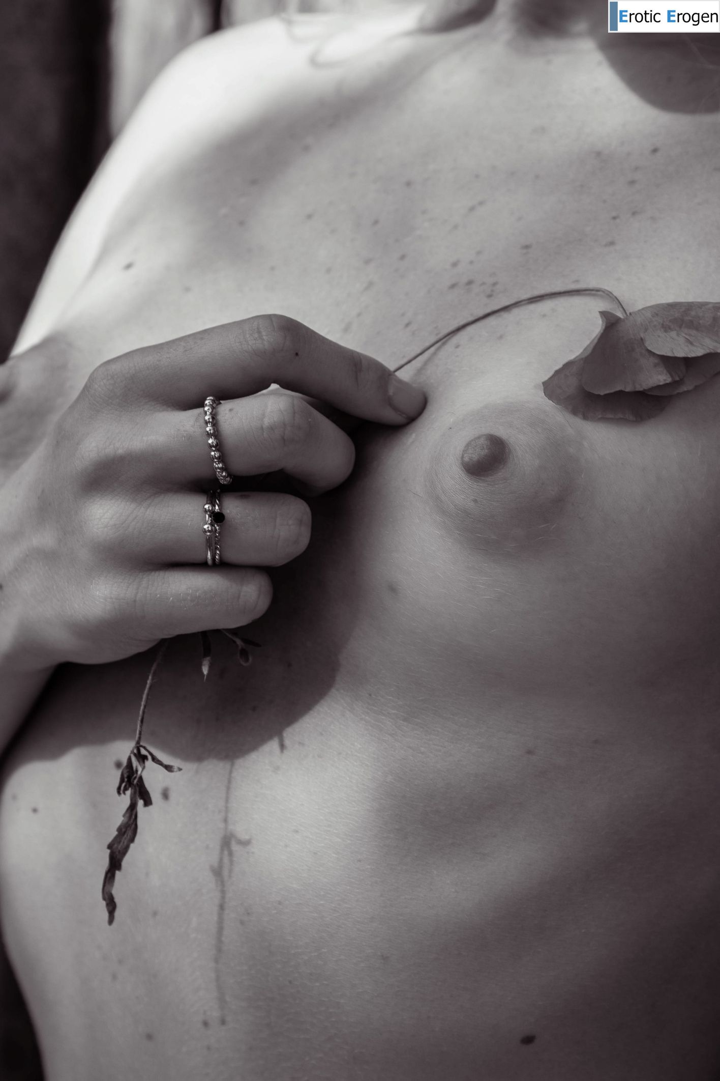 Bella Spark in Sun Shadows. Slide 39