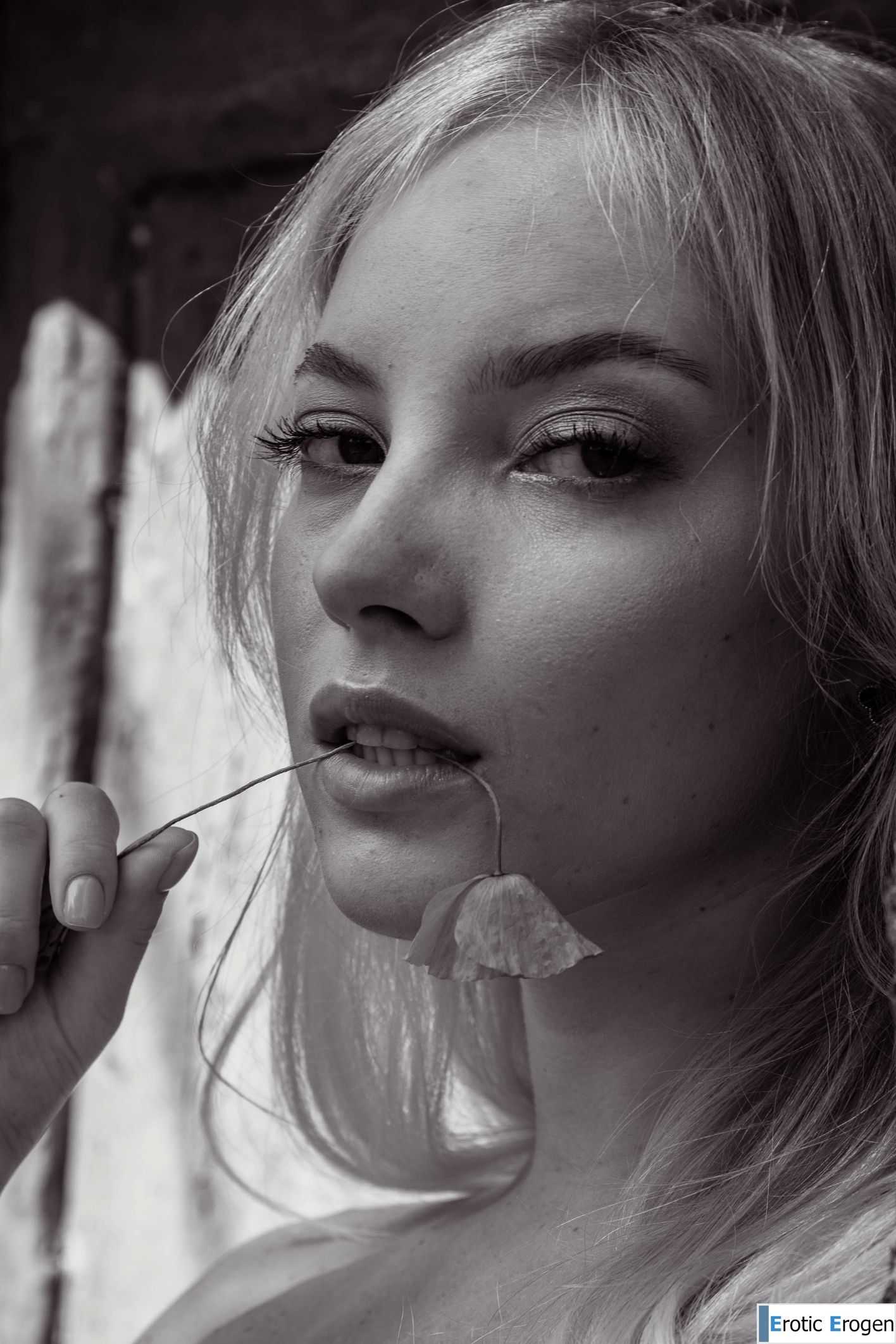 Bella Spark in Sun Shadows. Slide 40