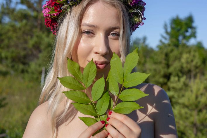 Cherry Blossom in Basking In The Sun. Эскиз 38