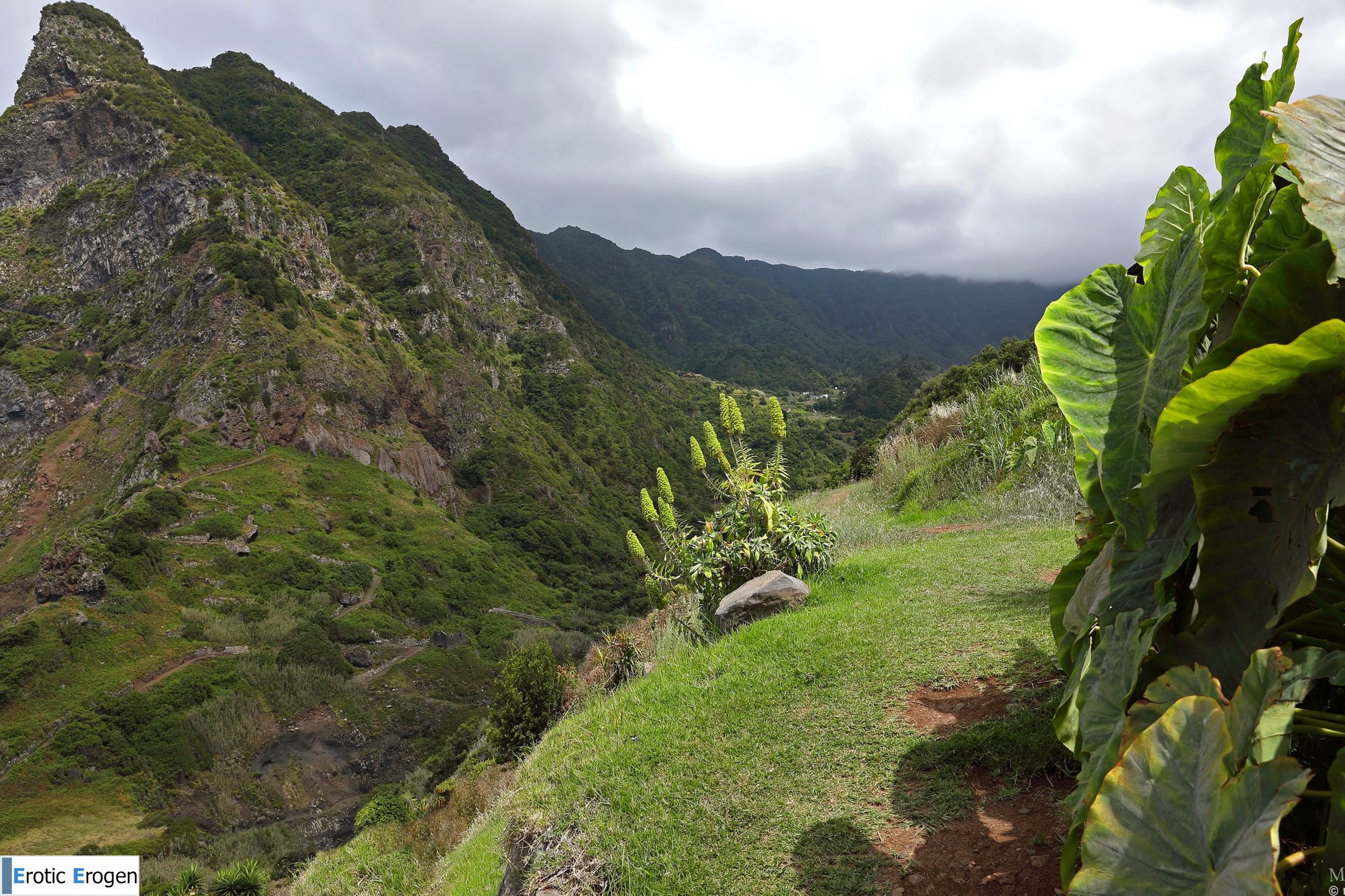 Amelia in Postcard From Madeira. Slide 17