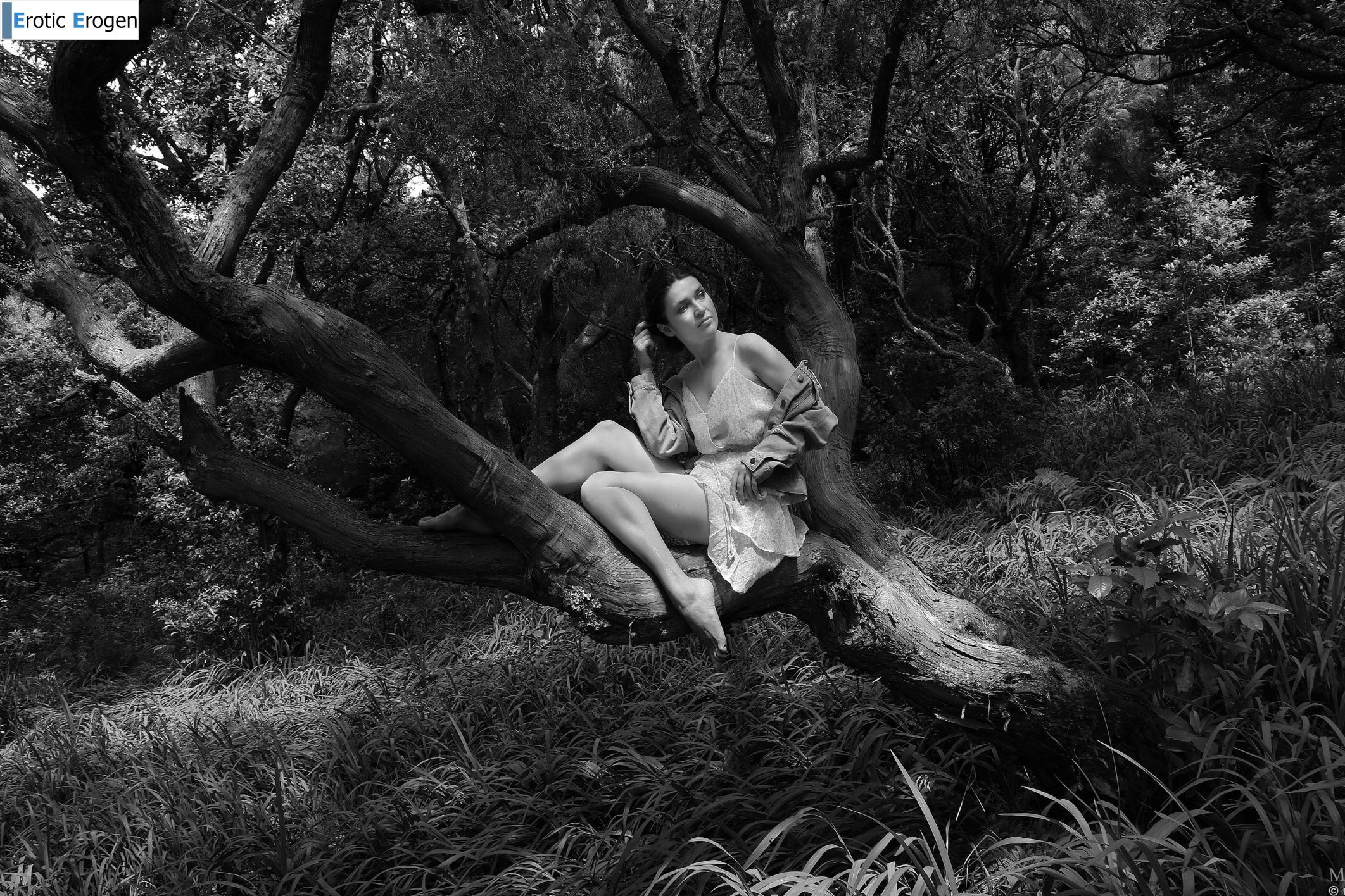 Amelia in Postcard From Madeira. Slide 6