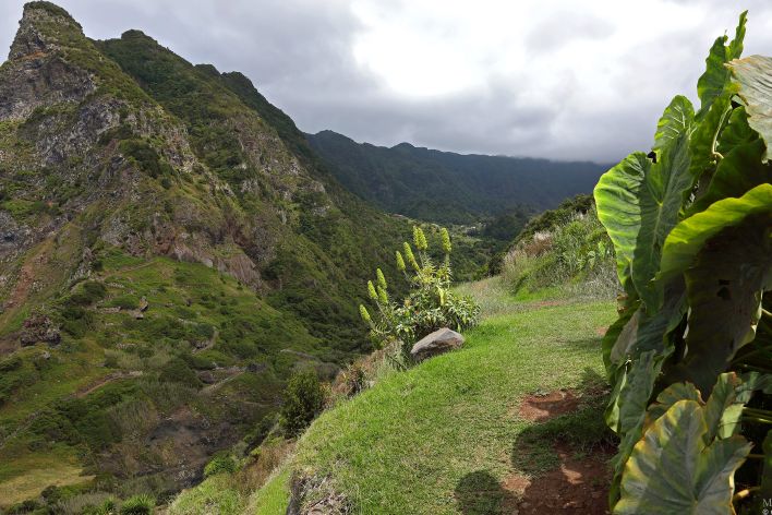 Amelia in Postcard From Madeira. Thumb 17